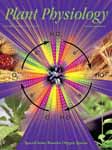 2006 Plant Physiology Cover